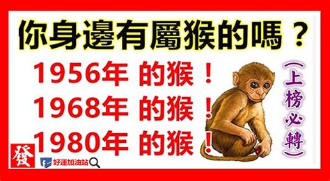 1980屬猴十年運勢|【1980年出生】1980年生肖猴全年運勢：事業、愛情、財運一次看！